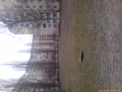 февраль :)