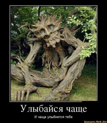 Улыбайся чаще