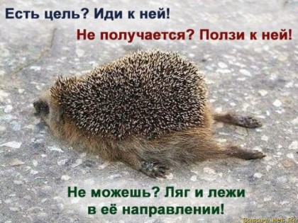 Если есть цель