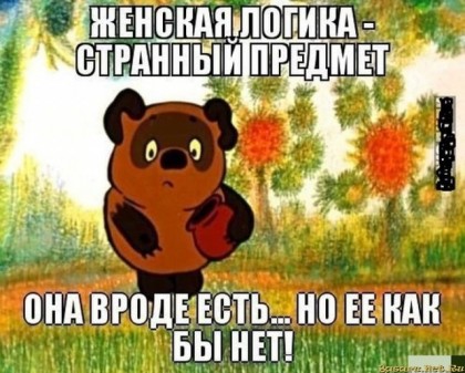 Женская логика
