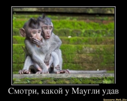 В джунглях