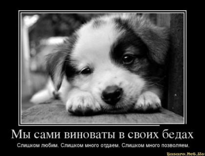Наши беды - от наших ошибок