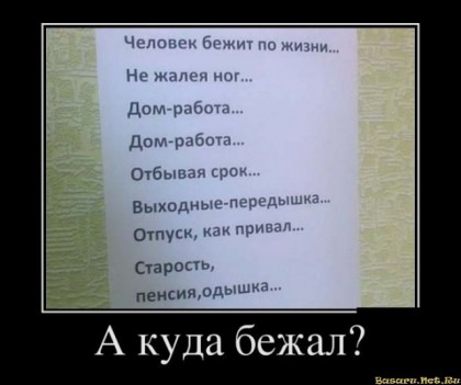 Вот такая жизнь