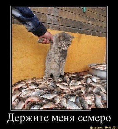 Держите меня